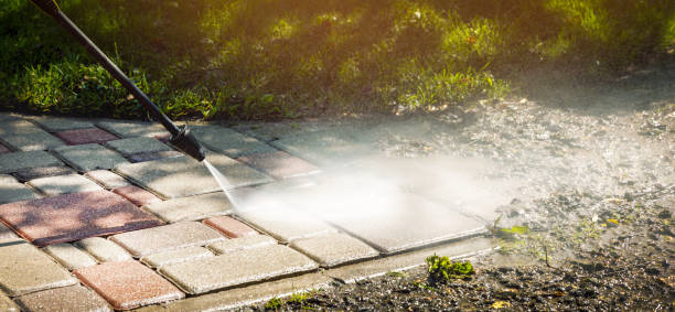 Best Driveway Pressure Washing  in Camden, SC